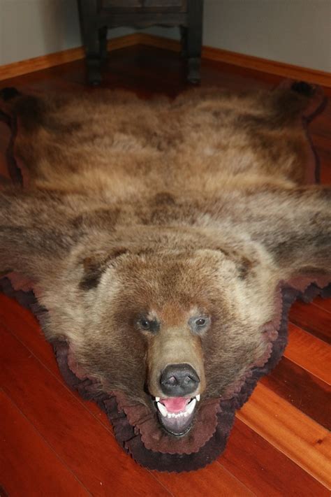 Grizzly Bear Rug – P&D International Furtraders