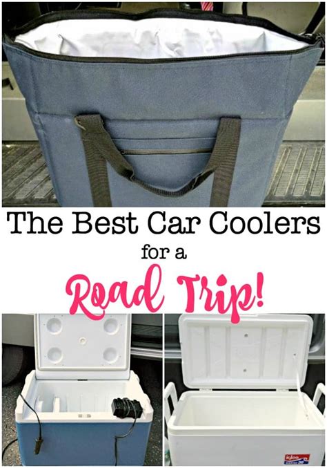 The Best Car Coolers for a Family Road Trip! - MomOf6