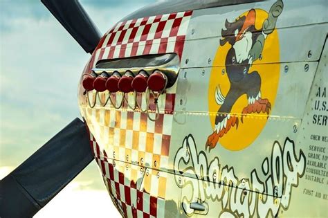 Pin by Iron Guard on Mustangs & More | Nose art, Aircraft art, Aircraft ...