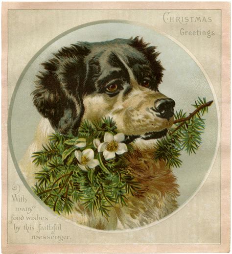 Vintage Christmas Dog Image! - The Graphics Fairy