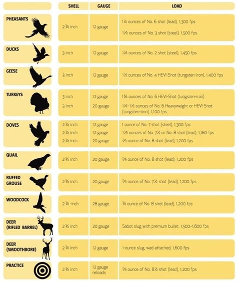 Shotgun Shells – a High Level Overview - Hiking, Camping and Shooting