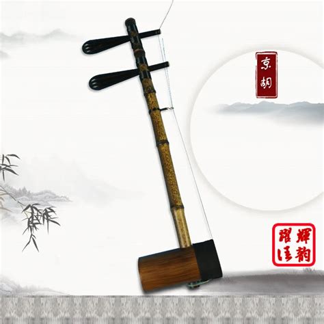 Professional Chinese Erhu Famous Brand Exclusive Engraved Code Musical Stringed Instruments Erhu ...