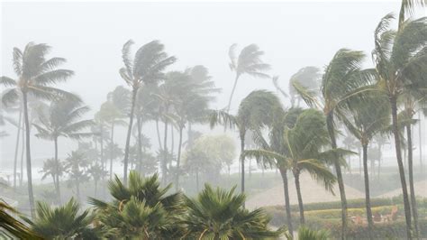 Cyclone Belal à La Réunion : un premier mort confirmé - mesinfos