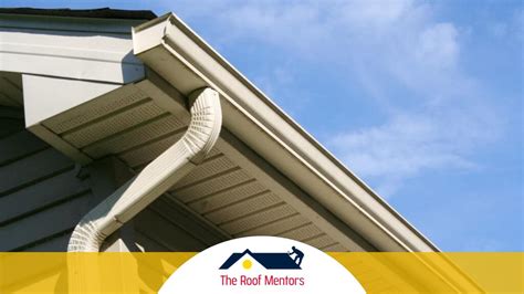 5 Reasons Why You Should Have Gutters Installed | The Roof Mentors