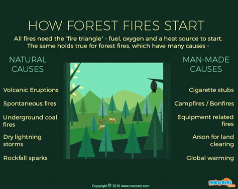 What causes Forest Fires? - Gifographic for Kids | Mocomi