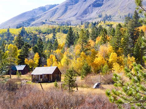 Fall Colors in the Eastern Sierra: Why You Must Do This California Road Trip! | Road trip ...