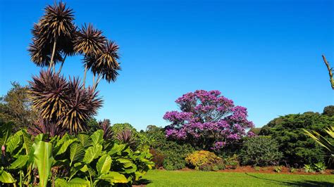 Centennial Park, Sydney, Sydney - Book Tickets & Tours | GetYourGuide