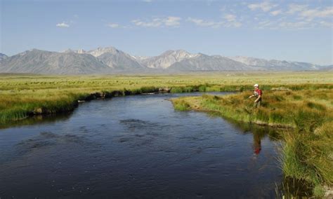 Mammoth Lakes California Fishing Guides & Fly Shops - AllTrips