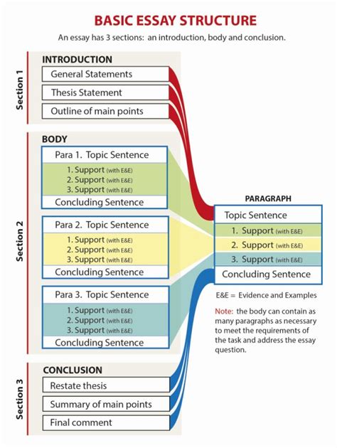 How to Structure an Essay: A Guide for College Students