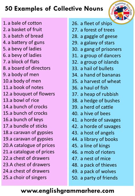 50 Examples of Collective Nouns - English Grammar Here