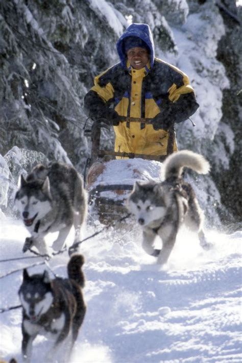 Snow Dogs (2002) - Brian Levant | Synopsis, Characteristics, Moods, Themes and Related | AllMovie