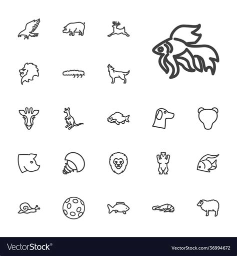 Wildlife icons Royalty Free Vector Image - VectorStock