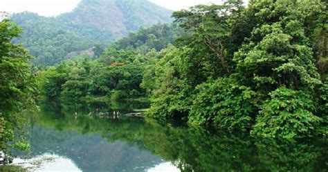 Thattekad Bird Sanctuary (Kerala) - BirderPics