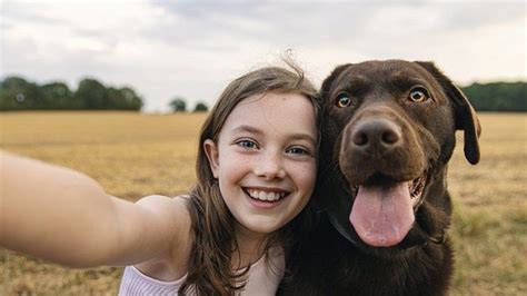 Pets: Has keeping pets helped humans survive? - BBC Newsround