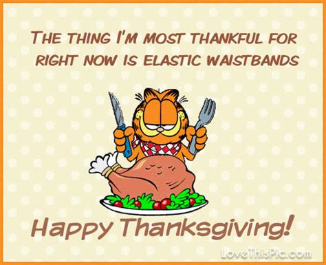 Garfield Happy Thanksgiving Quote Pictures, Photos, and Images for Facebook, Tumblr, Pinterest ...