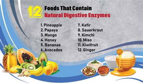 12 Foods That Contain Natural Digestive Enzymes | Dynamic Nutrition