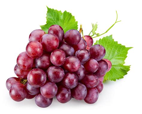 Ruby Roman Grape | Vine fruit, Red grapes, Fruit