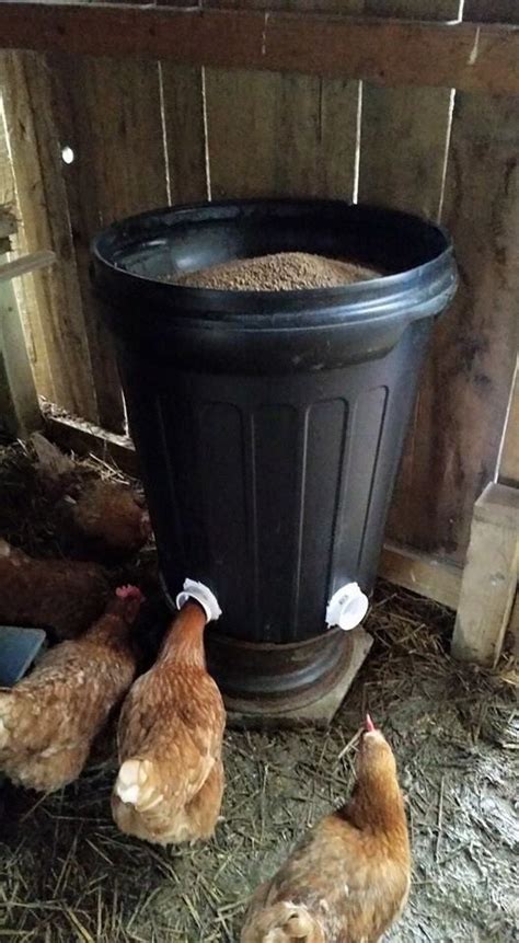 84 best CHICKEN FEEDERS images on Pinterest | Chicken coops, Farms and Vegetable garden