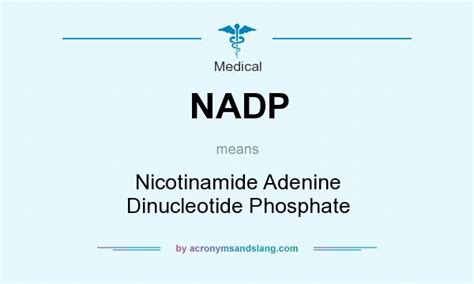 NADP - Nicotinamide Adenine Dinucleotide Phosphate in Medical by AcronymsAndSlang.com