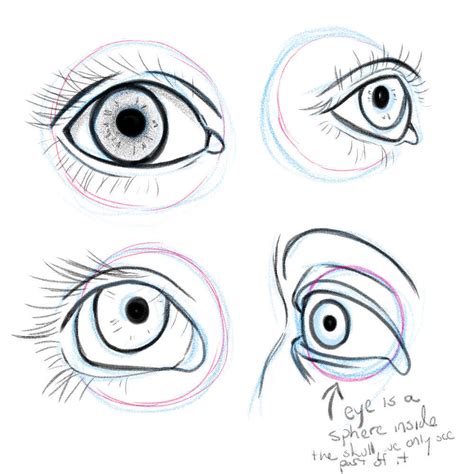 Human Eye Drawing Tutorial