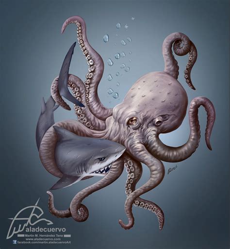 Octopus vs Shark on Behance