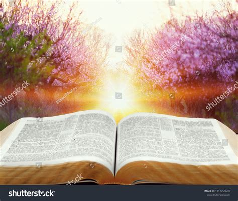 Open Bible On Natural Background Stock Photo 1112256650 | Shutterstock