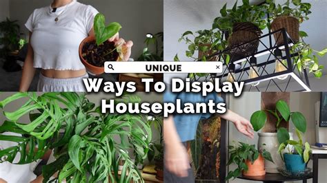 Upgrade Your Home with THESE Indoor Plant Display Tricks! - YouTube