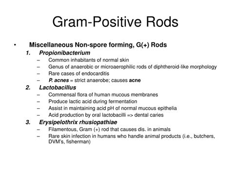 PPT - Chapter 10: Gram-Positive Rods PowerPoint Presentation, free download - ID:3857769