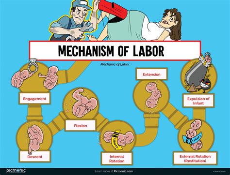 [Infographic] How to Study: Mechanism of Labor | Picmonic