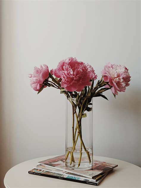 Pink Flowers in Glass Vase · Free Stock Photo