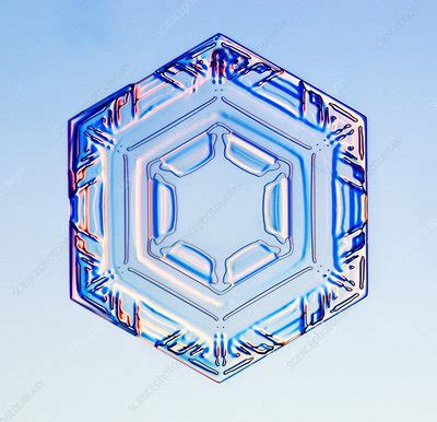 Hexagonal snowflake - Stock Image - E127/0387 - Science Photo Library