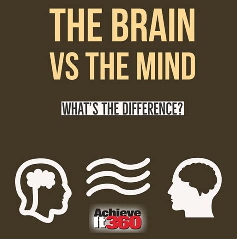 Understanding the Difference Between Your Brain and Mind - Achieveit360