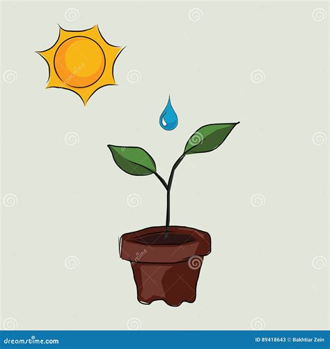 Planting Process in Pots with Sun and Water Drop To Grow Drawing Sketch in Color Stock Vector ...