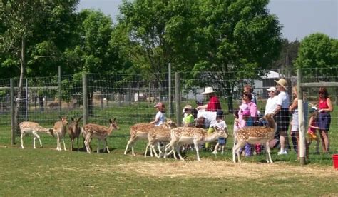 Oshawa Petting Zoo and Fun Farm - Tickets and Offers 2024