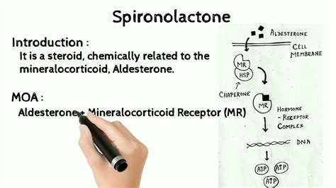 Spironolactone | Mechanism of Action | Pharmacology | Potassium Sparing Diuretics - YouTube