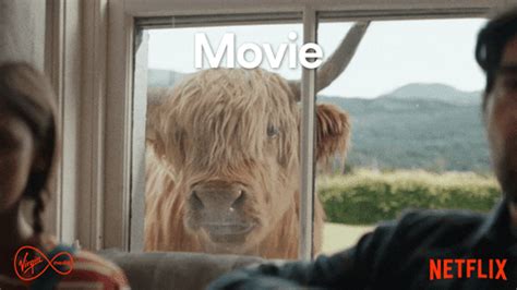 Movies-netflix GIFs - Get the best GIF on GIPHY