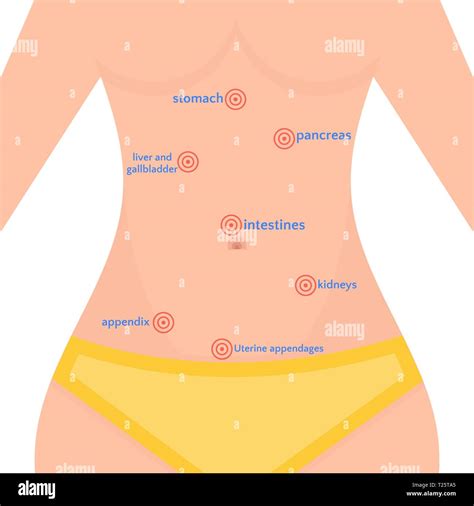 Types of abdominal pain in women, location of bali in the human body ...