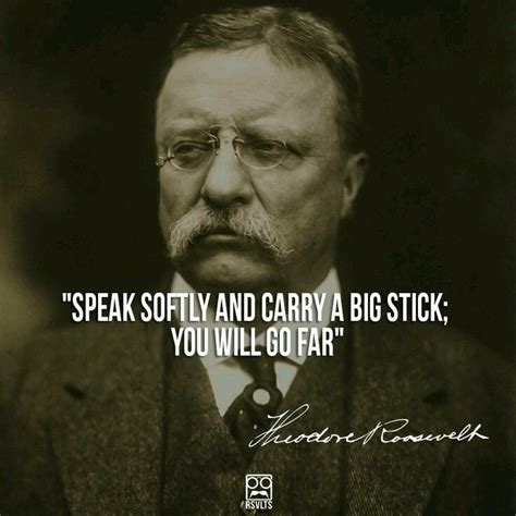 Carry a big stick | Roosevelt quotes, Teddy roosevelt quotes, Theodore roosevelt quotes