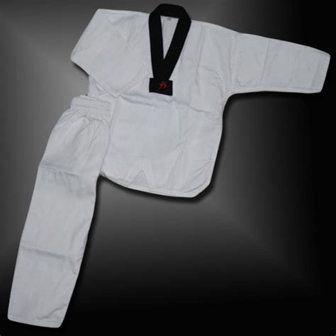 Preparing to Train for Taekwondo? You should know the Different ...