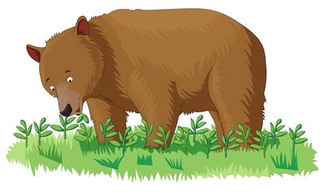 Premium Vector | A cute bear eating grass