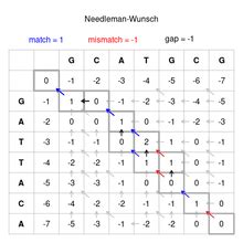 Needleman–Wunsch algorithm - Wikipedia