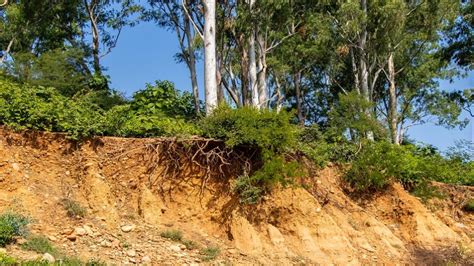 Impact Of Deforestation Soil Erosion, 58% OFF