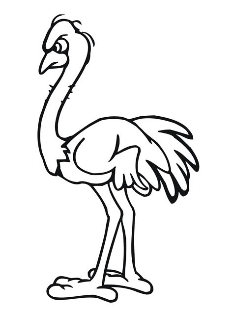 Ostrich Coloring Pages - Kidsuki