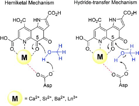 Key steps of the two proposed mechanisms in methanol dehydrogenase... | Download Scientific Diagram