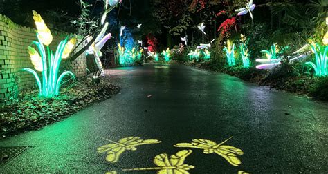 9 Best Experiences At Wild Lanterns Light Festival At Seattle’s ...