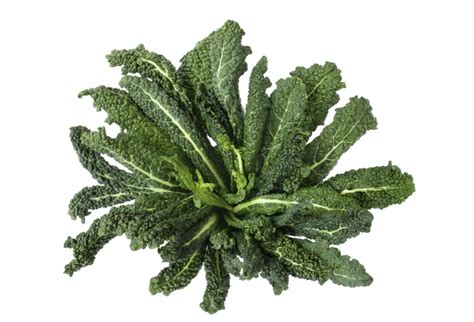 Discover The Nutritional Powerhouse Of Lacinato Kale » Inside Kellys Kitchen