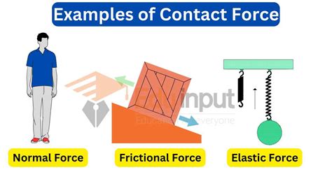 10 Examples of Contact Force