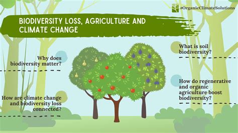 Biodiversity Loss, Agriculture and Climate Change – The Organic Council ...