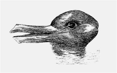 Test: Do You See a Duck Or a Rabbit? - Truth Inside Of You