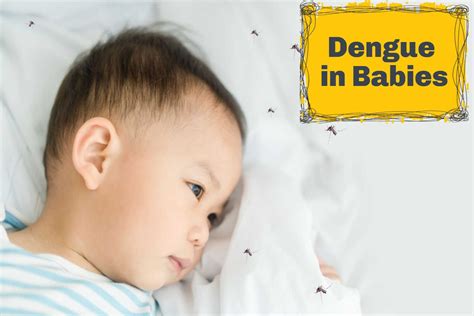 Dengue in Babies - Causes, Symptoms, and Treatment - Being The Parent